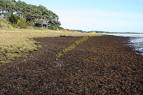 Photo 6"x4" Foreshore at Binsness Findhorn c2007