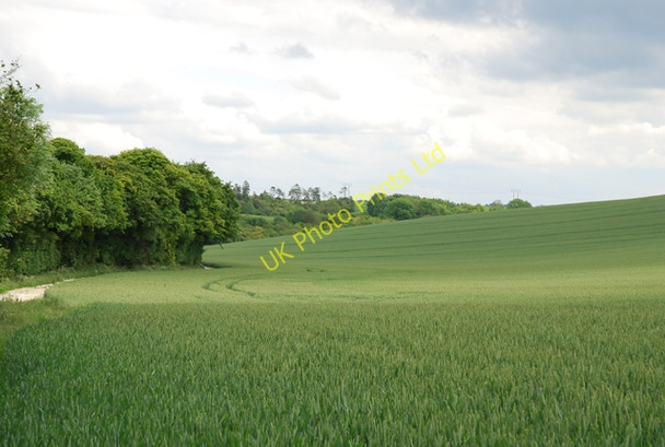 Photo 6"x4" Fields south of Ox Drove Baverstock c2007