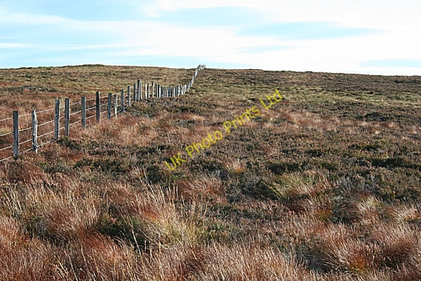 Photo 6"x4" Bracken Noits Bracken Noits c2007
