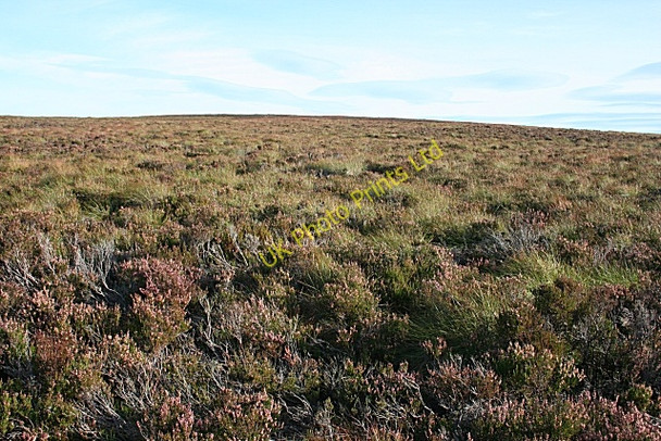 Photo 6"x4" Bracken Noits Bracken Noits c2007