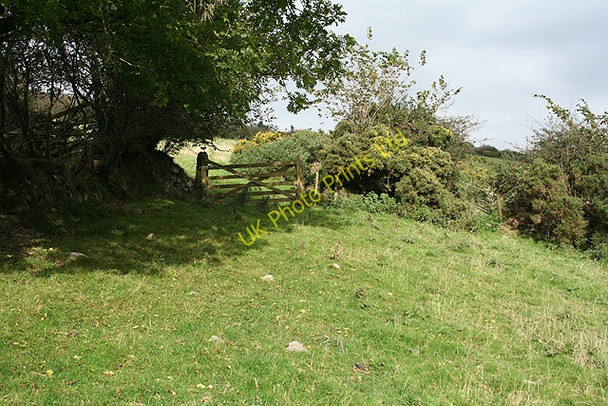 Photo 6"x4" Sourton: footpath from Forda Forda\/SX5390 c2007