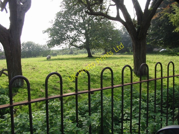 Photo 6"x4" Small paddock on Felderland Lane Felderland c2007