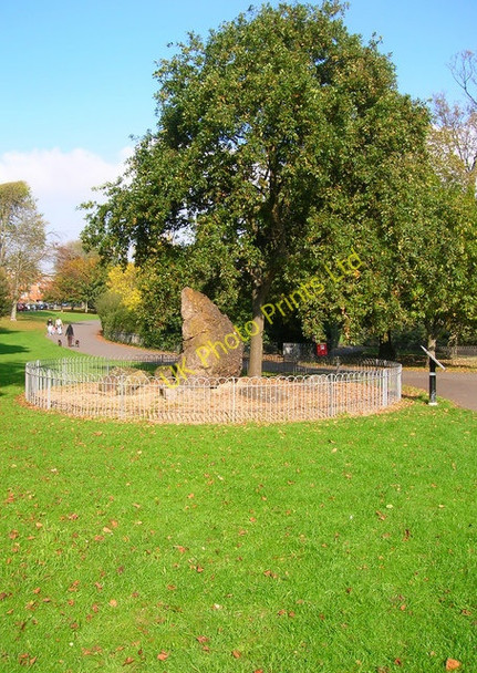 Photo 6"x4" The Goldstone, Hove Park Hove c2007