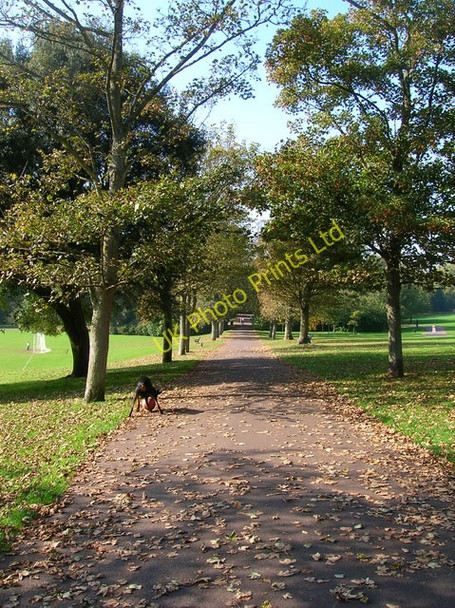 Photo 6"x4" The Droveway, Hove Park Hove c2007