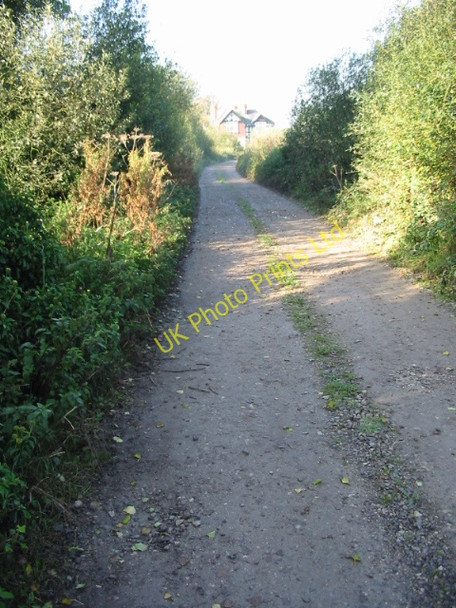 Photo 6"x4" Track near Foulmead Farm, Hacklinge Hacklinge c2007