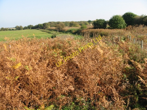 Photo 6"x4" Looking towards the sea from Fowlmead Country Park Deal c2007