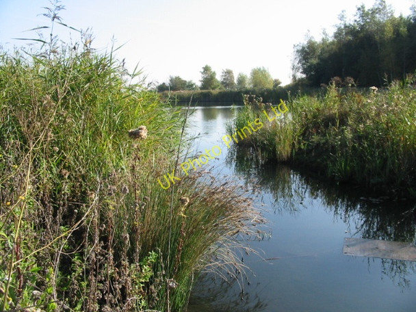 Photo 6"x4" Lake at Fowlmead Country Park Deal c2007