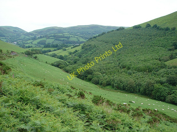 Photo 6"x4" Cwm Nant Heli Bont Dolgadfan c2007