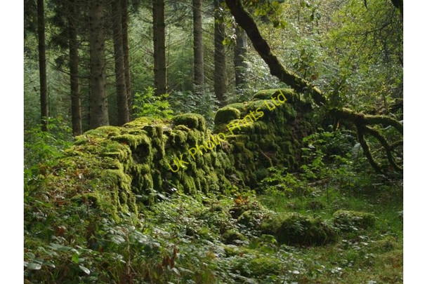 Photo 6"x4" Mossy Stone Wall Allt Forgan c2007