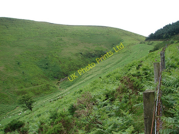Photo 6"x4" Cwm Nant Heli Bont Dolgadfan c2007