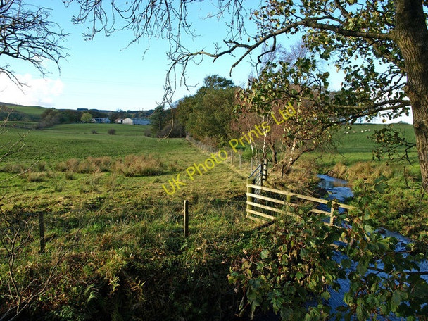 Photo 6"x4" Plantly Moss Lochwinnoch c2007