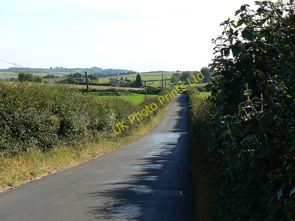Photo 6"x4" Minor road to Hayward's Farm, near Milborne St Andrew Milborne St Andrew c2007