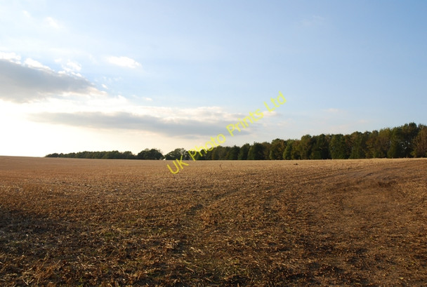 Photo 6"x4" Preston Hill Farm Iwerne Minster c2007