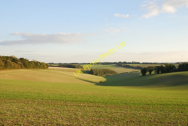 Photo 6"x4" Bottom between Ranston Hill and Preston Wood Iwerne Minster c2007