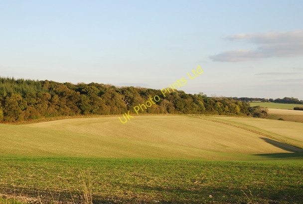 Photo 6"x4" View of Preston Wood Iwerne Minster c2007