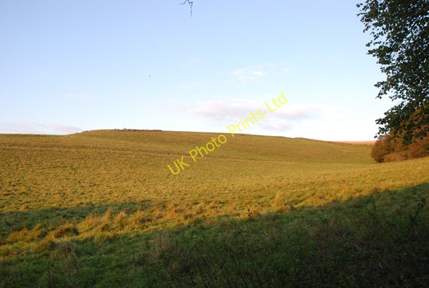 Photo 6"x4" View up Preston Hill Iwerne Minster c2007