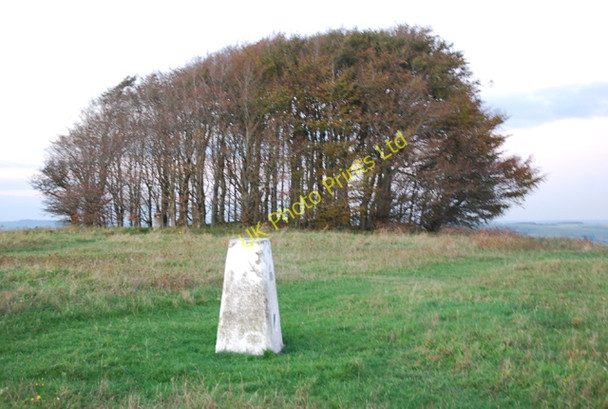Photo 6"x4" Trig Point at Win Green Ferne c2007