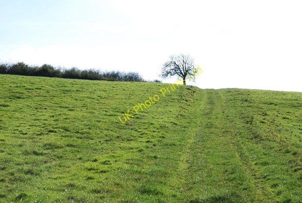 Photo 6"x4" Climbing towards the railway line Gillingham\/ST8026 c2007