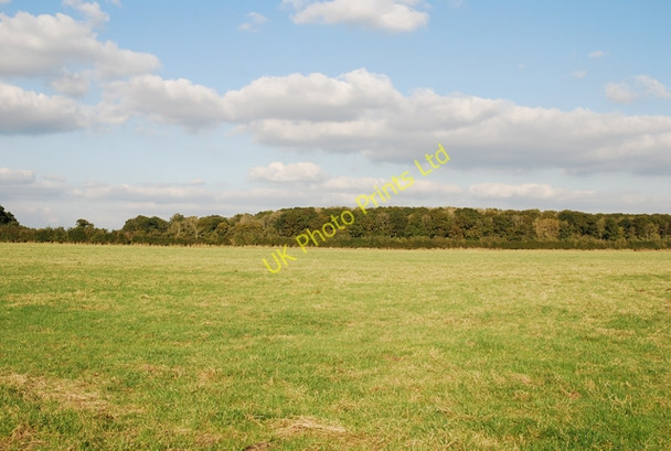 Photo 6"x4" Field beside King's Court Wood Gillingham\/ST8026 c2007