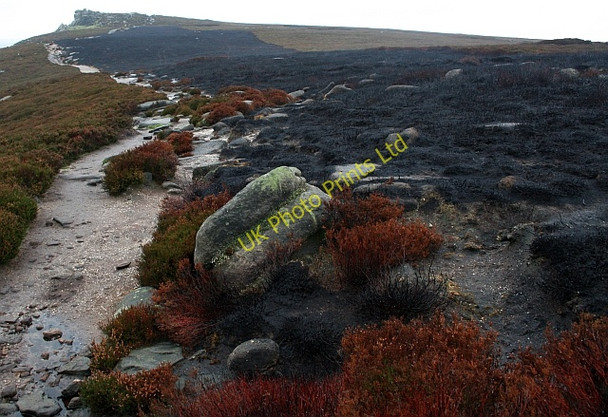 Photo 6"x4" Burnt Moorland Ashopton c2007