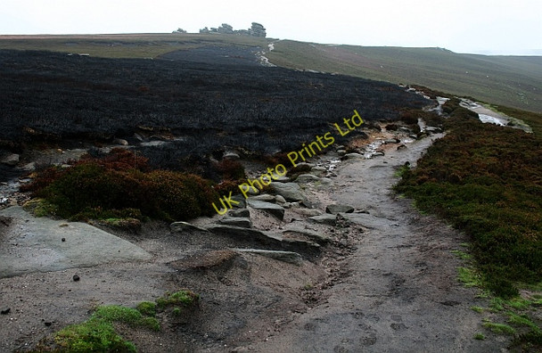Photo 6"x4" Burnt Moorland on Derwent Edge Ashopton c2007