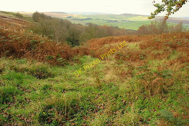 Photo 6"x4" The head of Bretton Clough Bretton\/SK2077 c2007