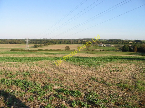 Photo 6"x4" View across The Downs towards Beeches Farm Elvington\/TR2750 c2007