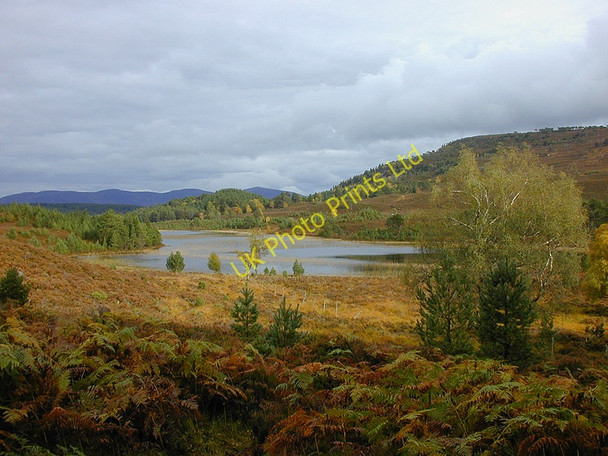 Photo 6"x4" The western end of Loch Gamhna Doune\/NH8809 c2000