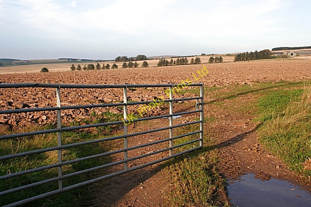 Photo 6"x4" Ploughed Field at Logie Netherbrae c2007