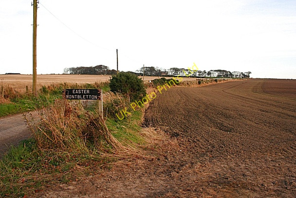 Photo 6"x4" Easter Montbletton Longmanhill c2007