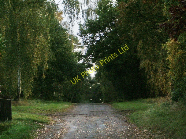 Photo 6"x4" The road to Harcourt Farm and Harcourt Booleybank c2007