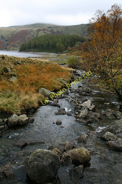 Photo 6"x4" Riggindale Beck Dudderwick c2007
