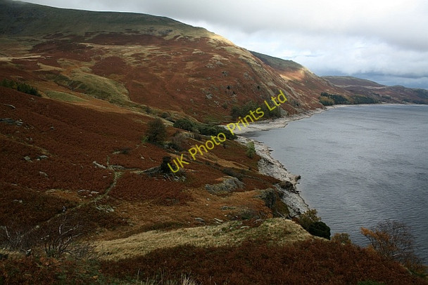 Photo 6"x4" Haweswater West Bank Guerness Wood c2007