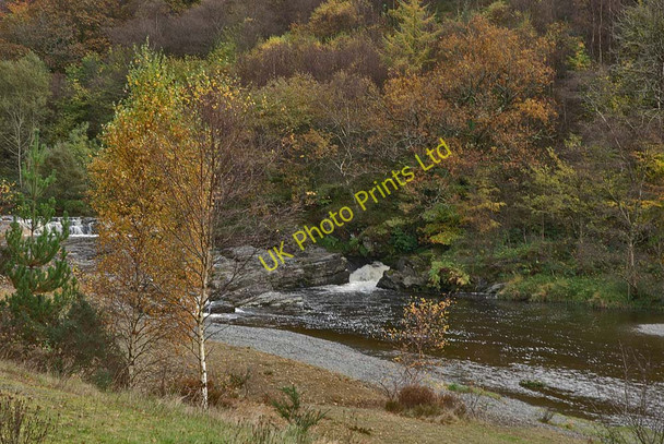 Photo 6"x4" The Rheidol in Cwm Rheidol Ystumtuen c2007