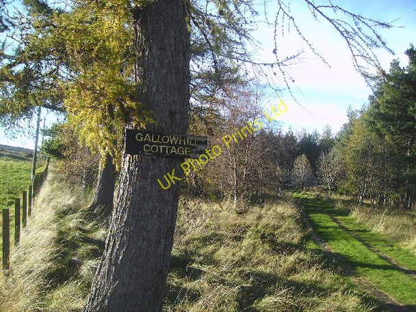 Photo 6"x4" A Track to Gallow Hill Cottage Auchbreck c2007