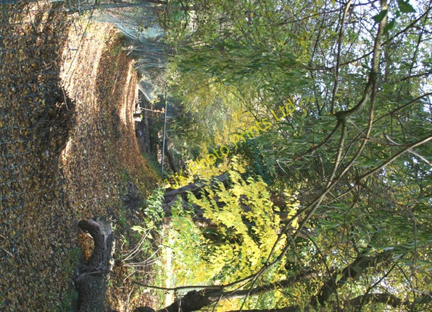 Photo 6"x4" The Moat at the Farm Rawreth c2007