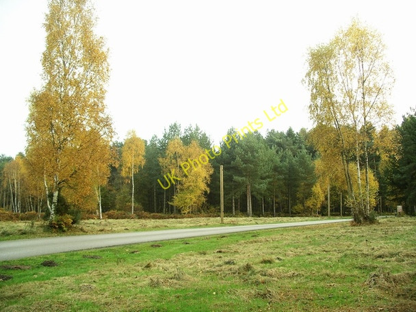 Photo 6"x4" Sherwood Pines Forest Park Lidgett c2007