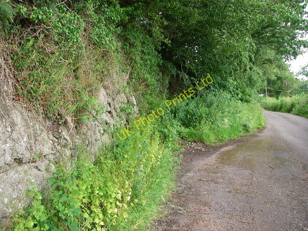 Photo 6"x4" Roadside rock cutting Llanarthne c2007