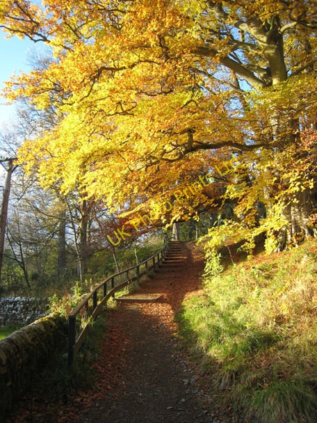 Photo 6"x4" Autumnal colours at Kielder Butteryhaugh c2007