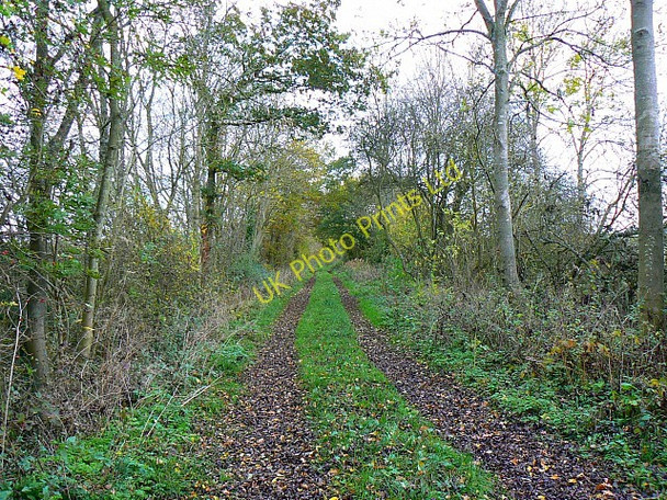 Photo 6"x4" Former Banbury to Cheltenham railway, Little Rollright Little Rollright c2007