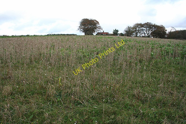 Photo 6"x4" Beaford: towards Down Farm Roborough\/SS5717 c2007