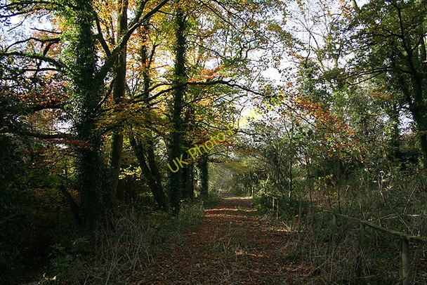 Photo 6"x4" Roborough: near Parsonage Bridge Roborough\/SS5717 c2007