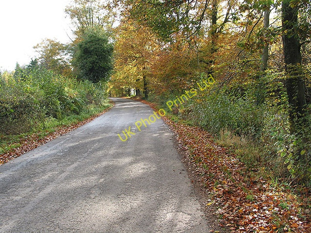 Photo 6"x4" Road to Oxenhall from Kempley Kempley c2007