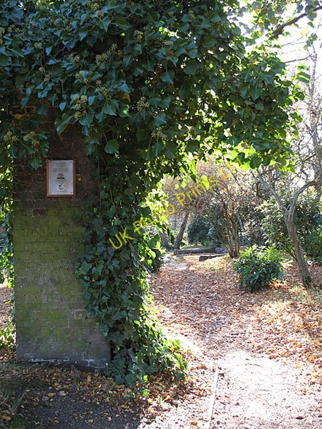 Photo 6"x4" Whitestone Garden Hampstead\/TQ2685 c2007