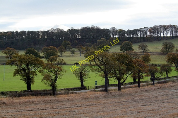 Photo 6"x4" Eccup Lane at High Weardley (3) Weardley c2007