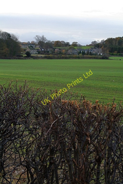 Photo 6"x4" Low Weardley Weardley c2007