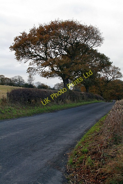 Photo 6"x4" Eccup Lane at Burden Head Weardley c2007