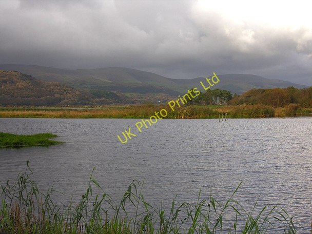 Photo 6"x4" Pond at Ynyshir Eglwys Fach c2007