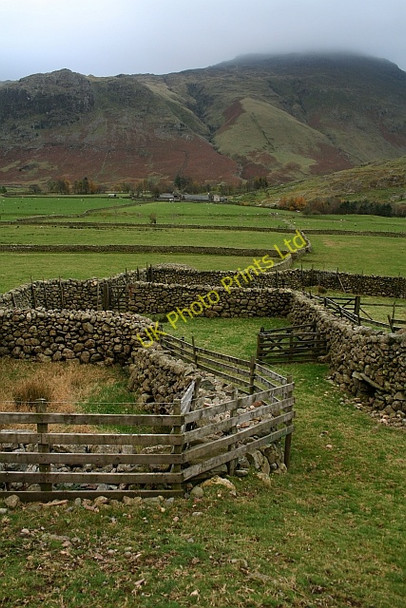Photo 6"x4" Sheepfold in Mickleden Langdale Fell\/NY2706 c2007