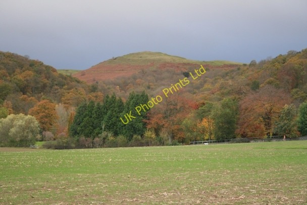 Photo 6"x4" South Field, Little Malvern Upper Welland c2007